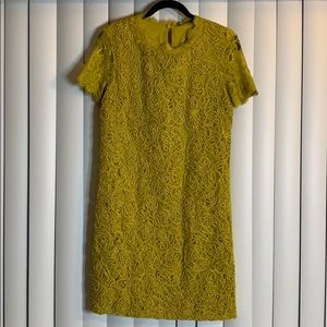 Brand new Zara dress